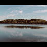 Trees at the Lake