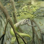 Mangrove Swamp Mermaid