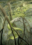Mangrove Swamp Mermaid