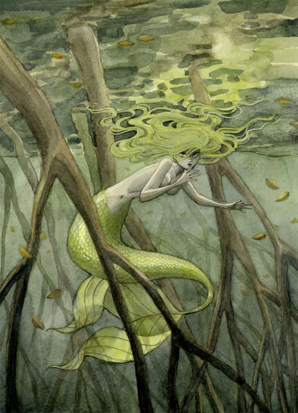 Swamp Characters Mangrove Swamp Mermaid by reneenault on DeviantArt