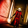 Devil May Cry -1 (DMC) Dante