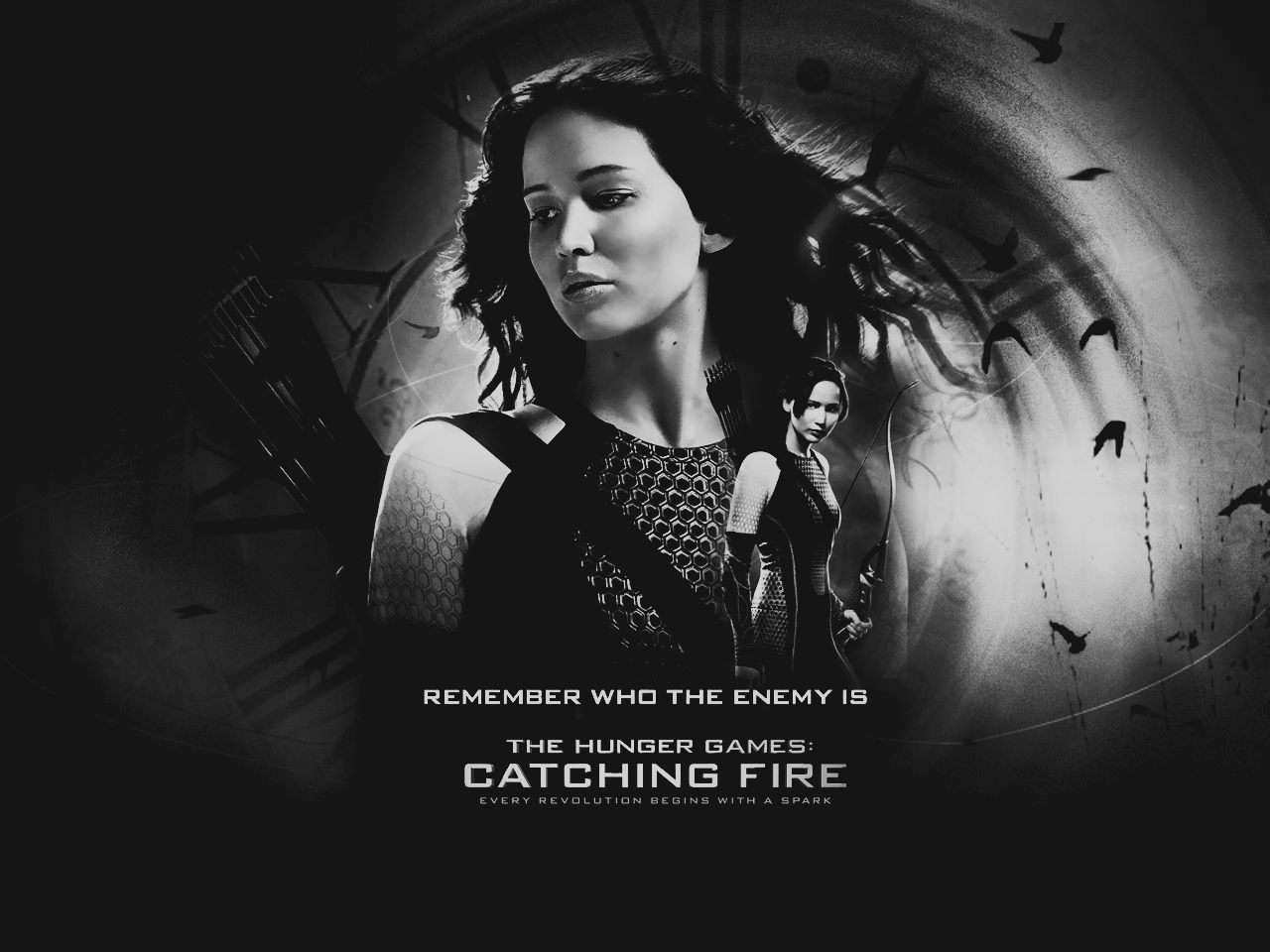 The Hunger Games: Catching Fire Wallpaper