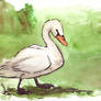 swan