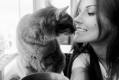 Cat Kiss