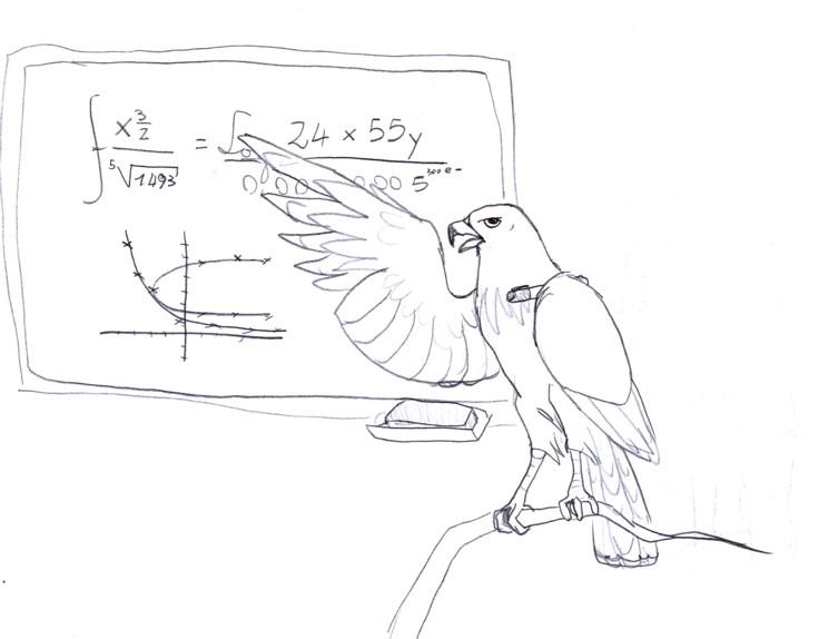 Hawk teaching maths by detectfevi on DeviantArt