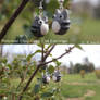 Chibi Grey Cat Earrings