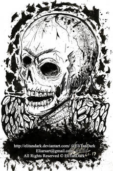 Skull #66