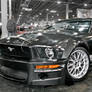 Carbon Mustang