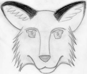 Trying something new-Anthro head
