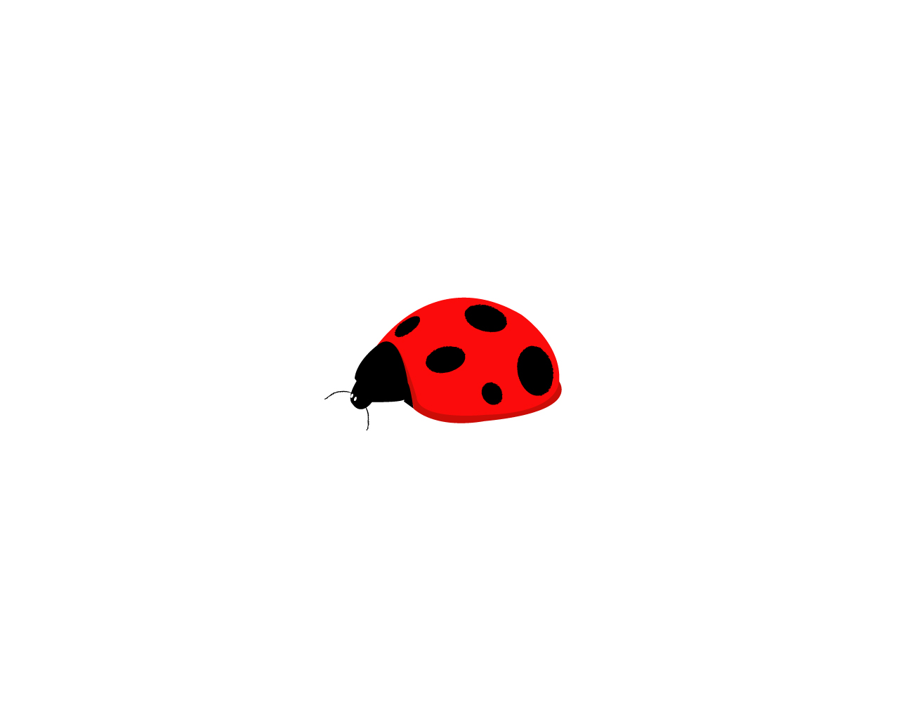 -:- i love ladybugs wallpaper