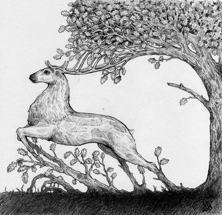 Tree-stag