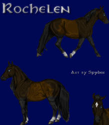 Rochelen Character Sheet