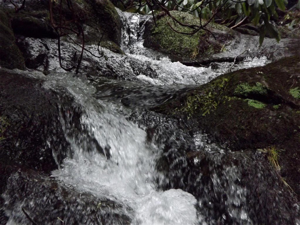 Natural flow by GriffinPhillis on DeviantArt