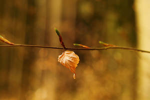 from the beginning to the end by hv1234 from the beginning to the end by hv1234
