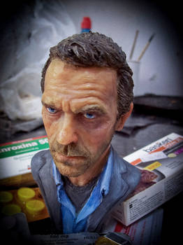 Dr house