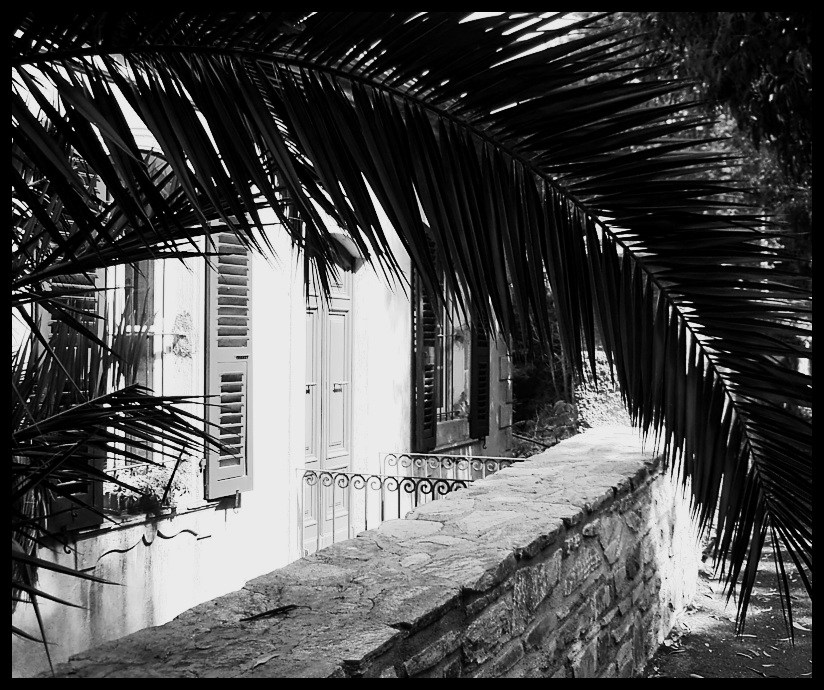 Bastia - House in a Palm