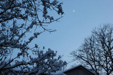 winter moon