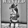 SL 49: Wanted