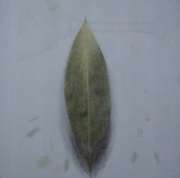 Leaf