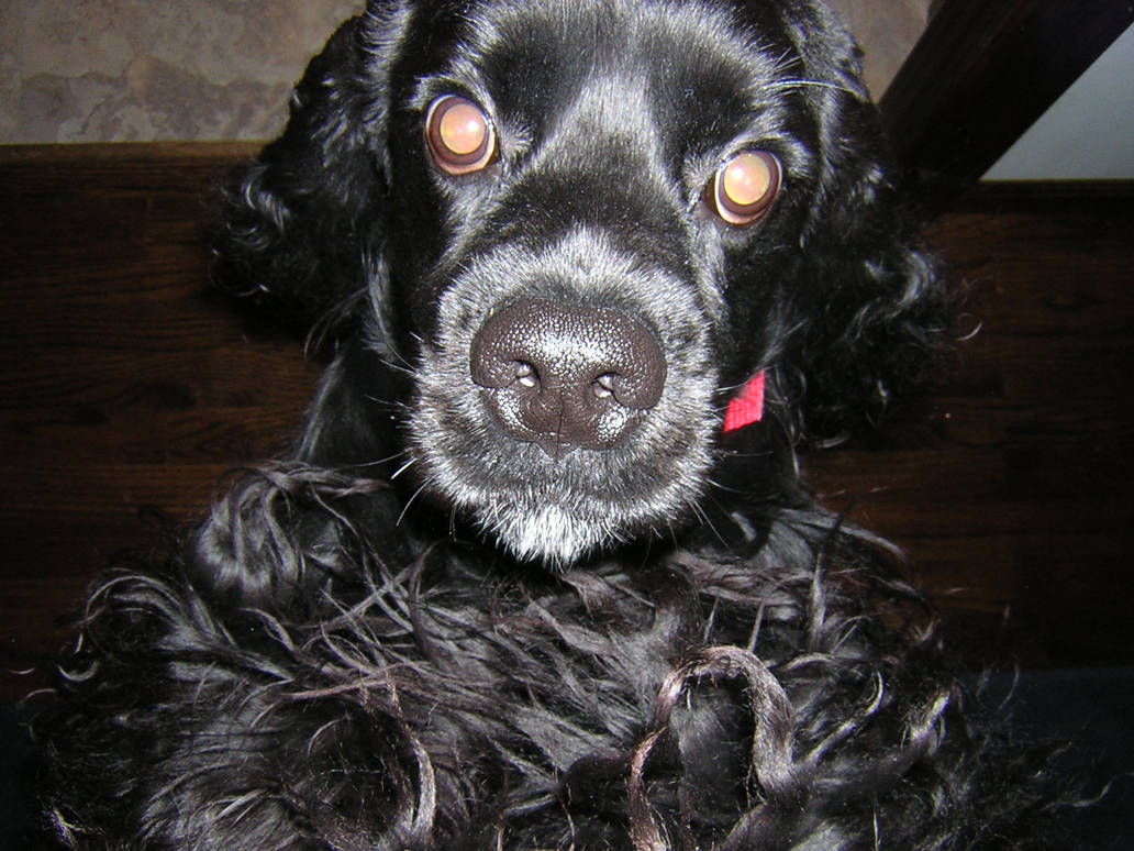 Benson the Ever Curious by thailyn on DeviantArt