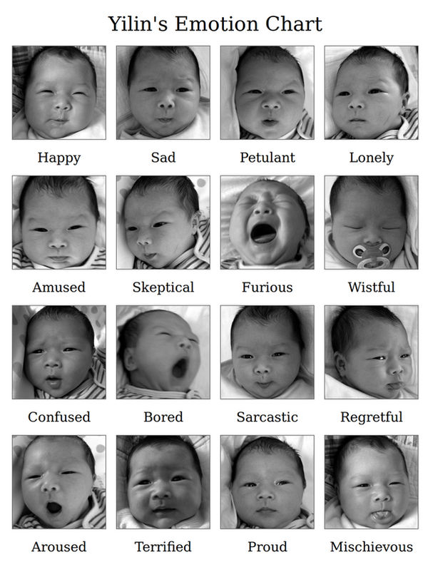 emotion chart