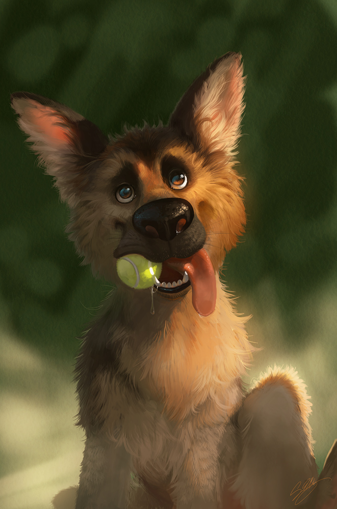 Shepherd by artsangel