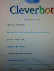 I got Cleverbot pregnant o.o WAT