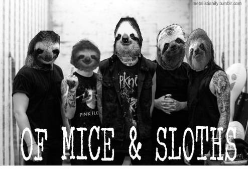 Of Mice And Sloths