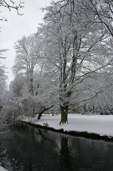 Snowy Trees 2