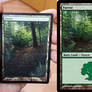 Altered Forest (M13)
