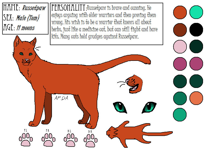 Russetpaw Warriors Reference Template Used by xThrushpawx on DeviantArt