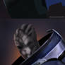 Garrus Steps