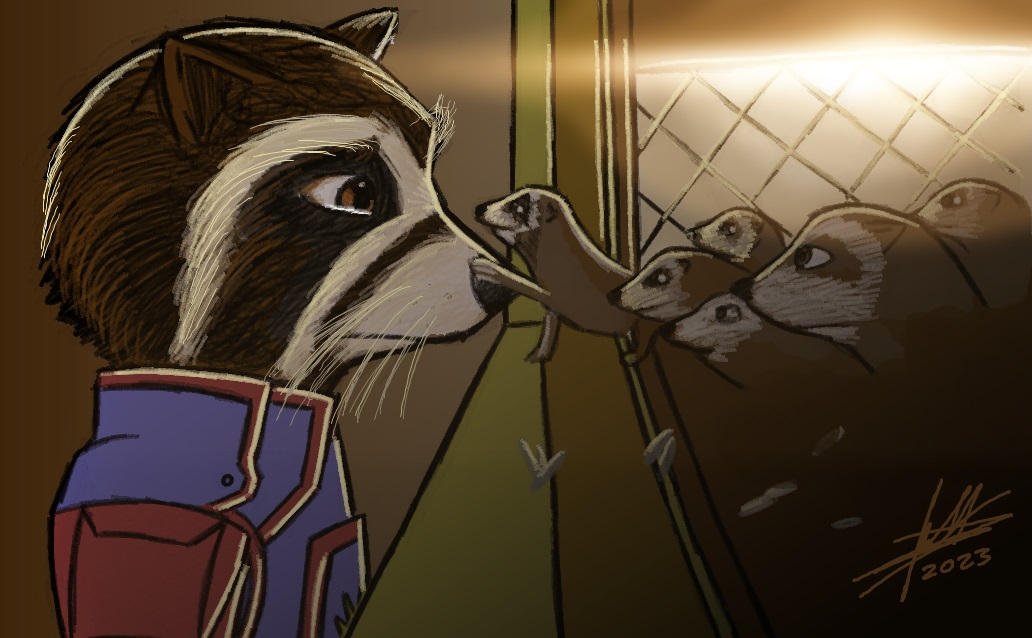 Rocket Rescuing Racoons Rocket and the Racoons by JoanCarrington14 on DeviantArt