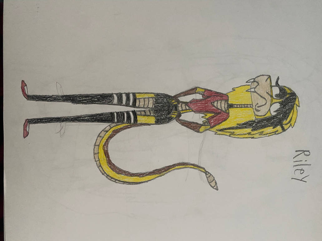 Riley Reference by Joshdasnake on DeviantArt