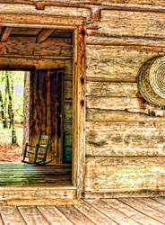 Looking out the back door