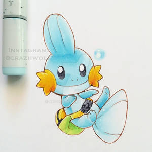 Mudkip