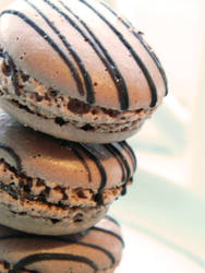 Macaroon Delight