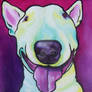 Bull Terrier