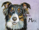 Max by xHideFromTheSunx