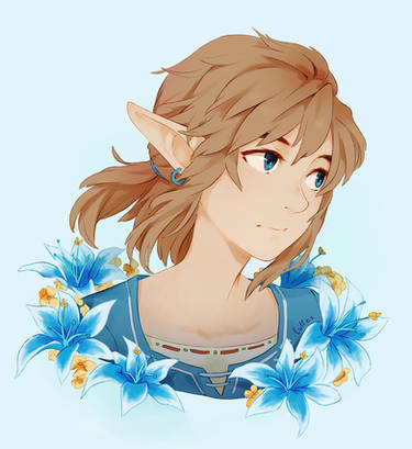 Matching icons - Zelda x Link  Zelda drawing, Anime, Zelda art