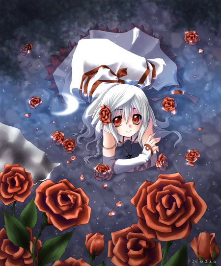 The color of the roses by Nefis