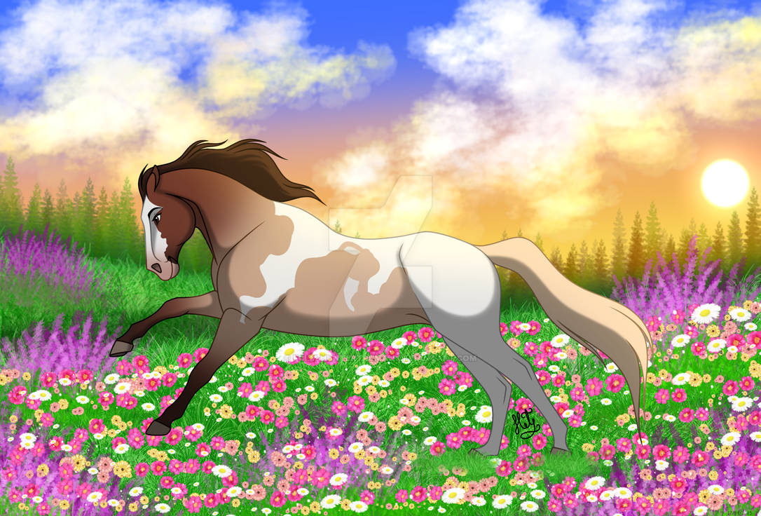 Running in the meadow! by FCLM-HunterTruman on DeviantArt