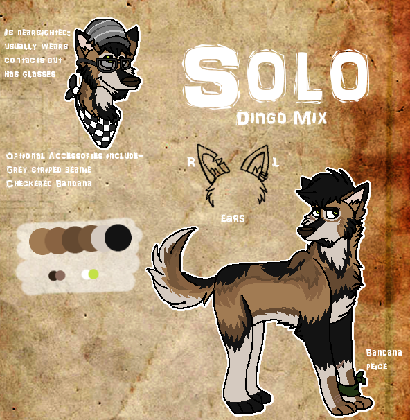 Solo 2013