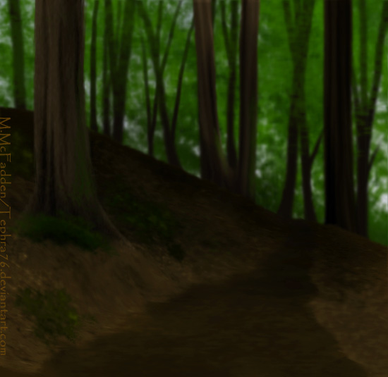 Forest Path 2