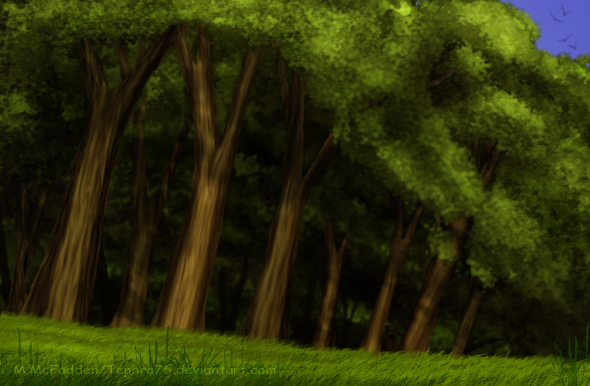 Forest Edge