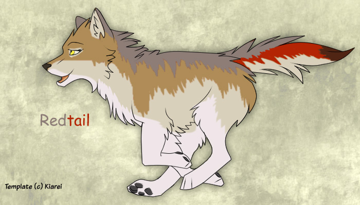 Wolf character- Redtail