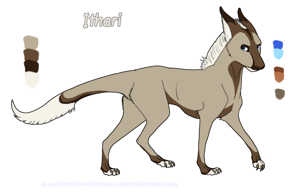 Dragon-Dog Character Reference Sheet- Ithari