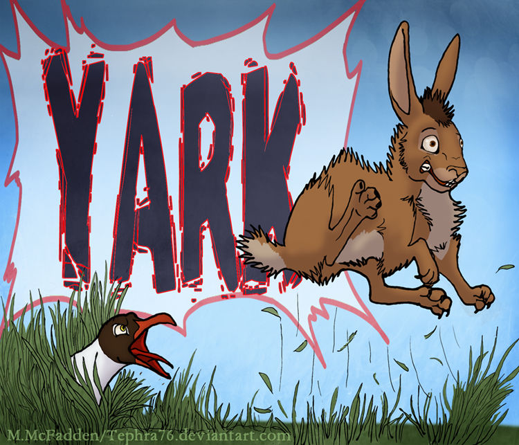 Yark Collection YARK by Tephra76 on DeviantArt