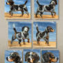Custom Breyer Dog- Finn the Bluetick Beagle