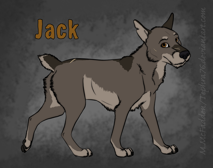 Feral Dog Character- Jack